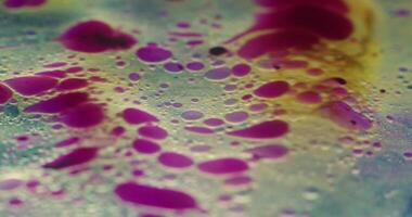 a close up of a colorful liquid with bubbles video