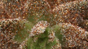 a close up of a plant with gold glitter video