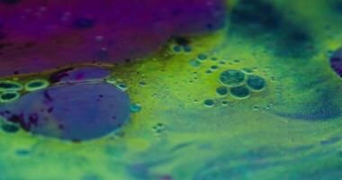 oil, water and bubbles in a colorful liquid video