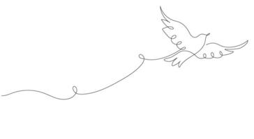 One continuous line drawing of a flying pigeon, background. Bird symbol of peace and freedom in simple linear style. vector