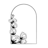 Frame background in an arch of roses. Hand drawing. For decoration of stylized backgrounds, postcards, printing, for editing, to complement modern original design. vector