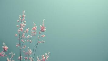 Soft focus of grass flower on pastel color background with vintage filter photo
