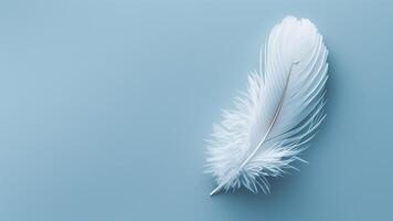 White feather on blue background. Flat lay, top view, copy space photo