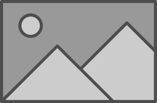 Photo Album Fillay Icon vector