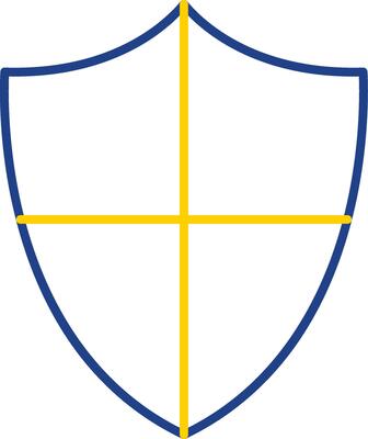 Prevention Line Two Color Icon