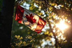 Canadian flag on a pole in the middle of the forest in the sun. Generated by artificial intelligence photo