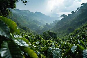 Warm summer rain over a coffee plantation. Generated by artificial intelligence photo