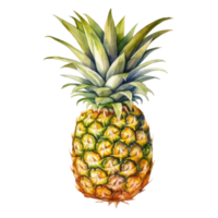 Realistic watercolor of a pineapple with vibrant green leaves. png