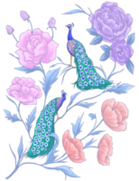 Peacock floral pattern illustration png