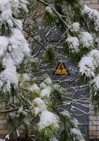 Defocused High Voltage Sign On A Steel Door Between Pine Tree Branches Covered With Snow photo