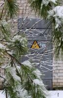 Snow Covered Pine Tree In Front Of Transformer Building With Metal Door And High Voltage Risk Sign Soft Focus photo