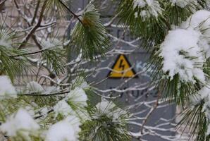 A Triangular High Power Sign Is Visible Through Snow Cap On Pine Tree Branches photo