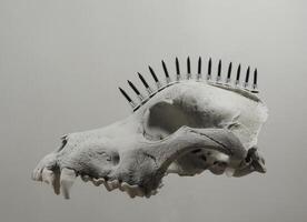 Steampunk Concept Image Of Wolf Skull With Metal Screws Floating In Air photo