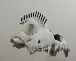 Steampunk Wolf Skull With Black Screws In Mohawk Hairstyle Floating In Air On White Background photo