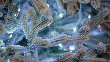 nieuw jaar concept. dichtbij omhoog van Kerstmis boom. bokeh slingers in de achtergrond video