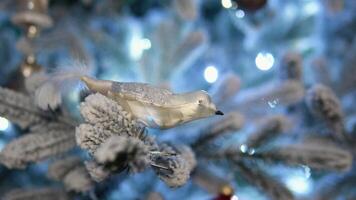 nuovo anno concetto. vicino su di Natale albero. bokeh ghirlande nel il sfondo video