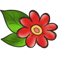 The illustration of a red flower png