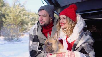 Young couple, a man and a woman with dog, are sitting in the trunk of a car in a winter and hugging, snowy forest video