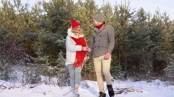 Beautiful couple in winter clothes walking along snowy forest video