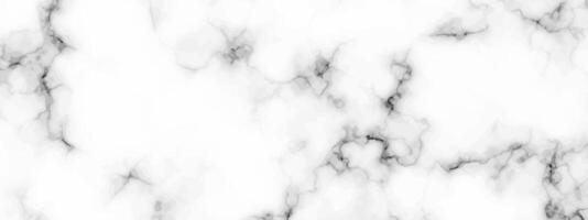 White marble texture background vector