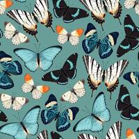 seamless pattern with high detailed tropic butterfly vector