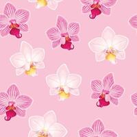 Pink and white orchids seamless pattern on light pink background vector