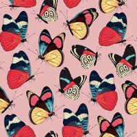 seamless pattern with high detailed tropic butterfly vector