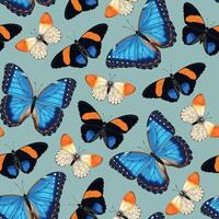 seamless pattern with high detailed tropic butterfly vector