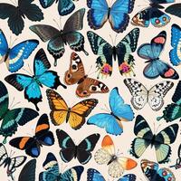 seamless pattern with high detailed tropic butterfly vector