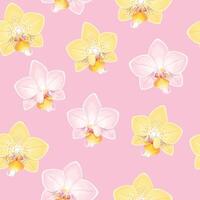 Pink and white orchids seamless pattern on light pink background vector