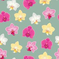 Pink and yellow orchids seamless pattern on light green background vector