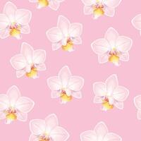 Pink and white orchids seamless pattern on light pink background vector