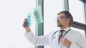 Senior médico decada de 50 examinando a raio X do a pulmões video