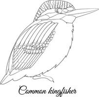 Common kingfisher cartoon bird coloring illustration vector