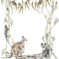 Koala and kangaroo postcard with possum on gum tree decorated with eucalyptus leaves. Australian animals watercolor illustration on transparent background. Hand drawn wildlife copy space frame design png