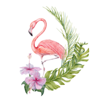 Flamingo and exotic tropical green leaves composition. Watercolor on transparent background. Natural botanical illustration withpalm, banana and hibiscus flower for card designs, prints, invitation png