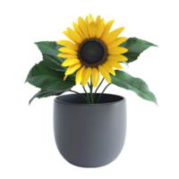 zonnebloem met modern mooi bloem vaas pot png