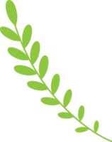 grön blad blommig natur för dekorera design png