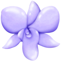 purpel orquídea flor png