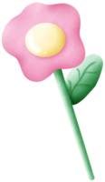 selvaggio fiori siamo fioritura png