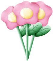 selvaggio fiori siamo fioritura png