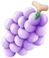 Mora uvas para haciendo vino png