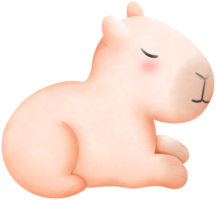 carpincho sentado y dormido png