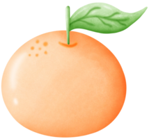 1 orange, fruit de bien fortune png