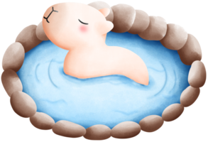 Capybara soaking in hot spring water png