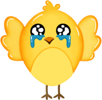 Chicks are crying png