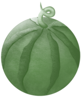 illustration av 1 vattenmelon png