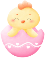 Chick with Easter eggs png