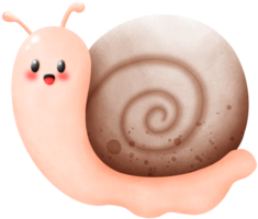 Snail with brown spiral shell png