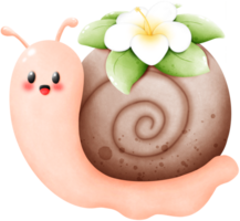 escargot et frangipanier fleur png